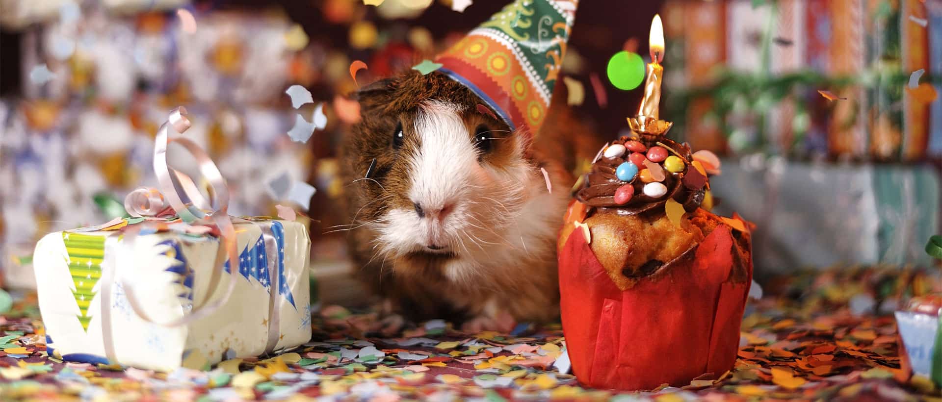 Wunschzettel Design Kindergeburtstag 10