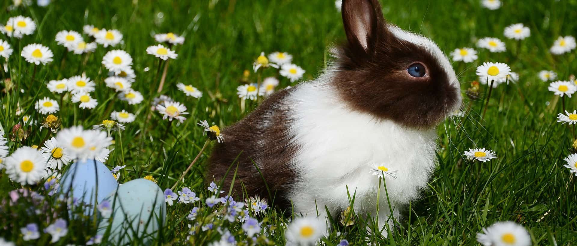 Wunschzettel Design Ostern 2