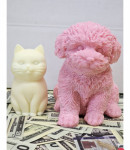Cash Candles, Money Candles, Jewelry Candles, Surprise Candles, Candle
