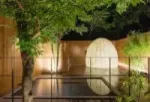 Aguas termales Hakone