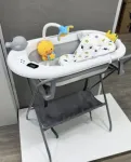 Ba&ntilde;era 