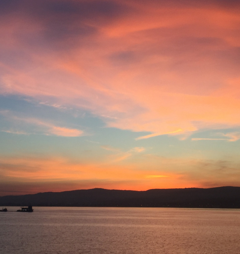 Shey&rsquo;s wishlist!