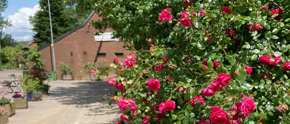 Hermines W&uuml;nsche