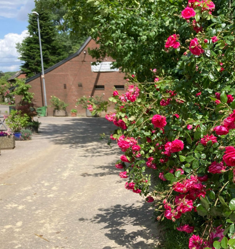 Hermines W&uuml;nsche