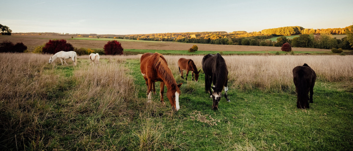 Sachspenden-Wunschliste