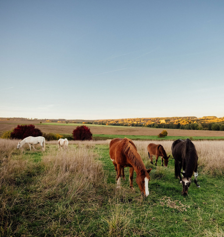 Sachspenden-Wunschliste