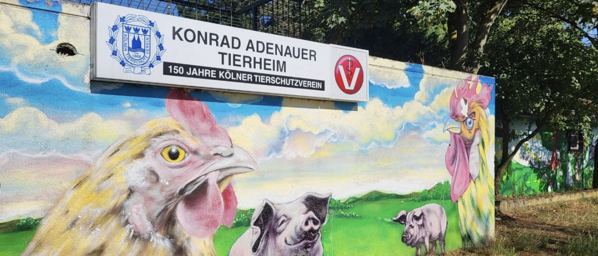 Wishlist des Tierheim K&ouml;ln Zollstocks