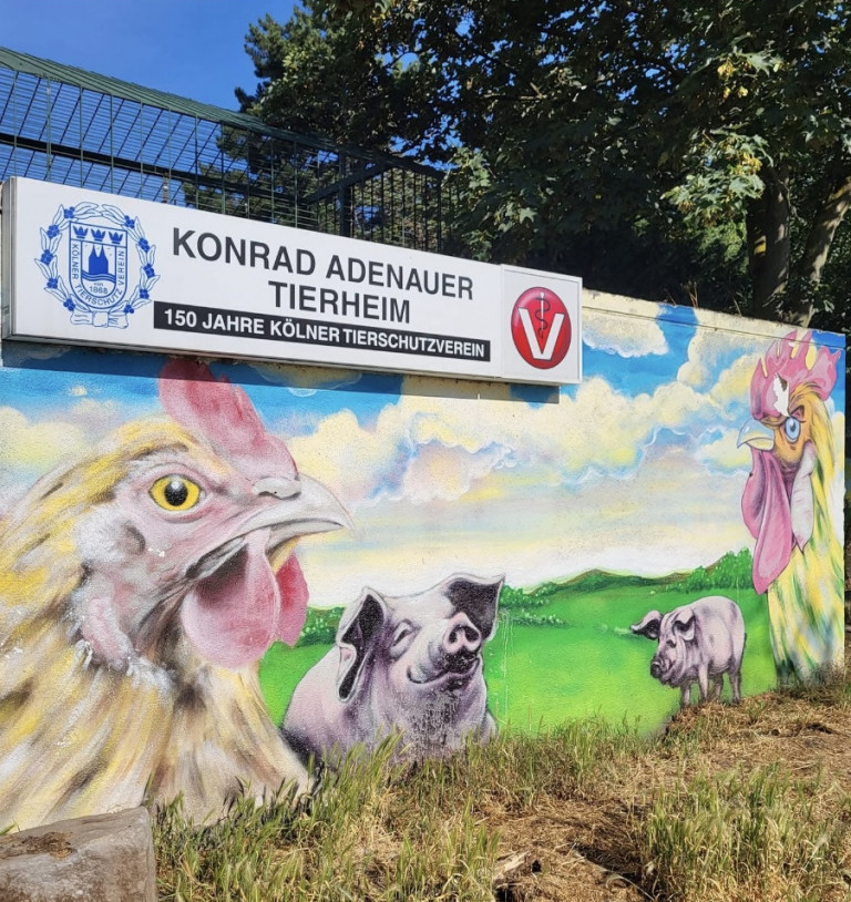 Wishlist des Tierheim K&ouml;ln Zollstocks