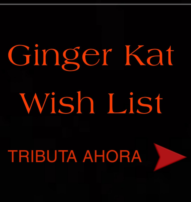 Ginger Kat Wish List