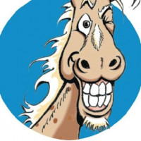 Profile picture SOS Cheval